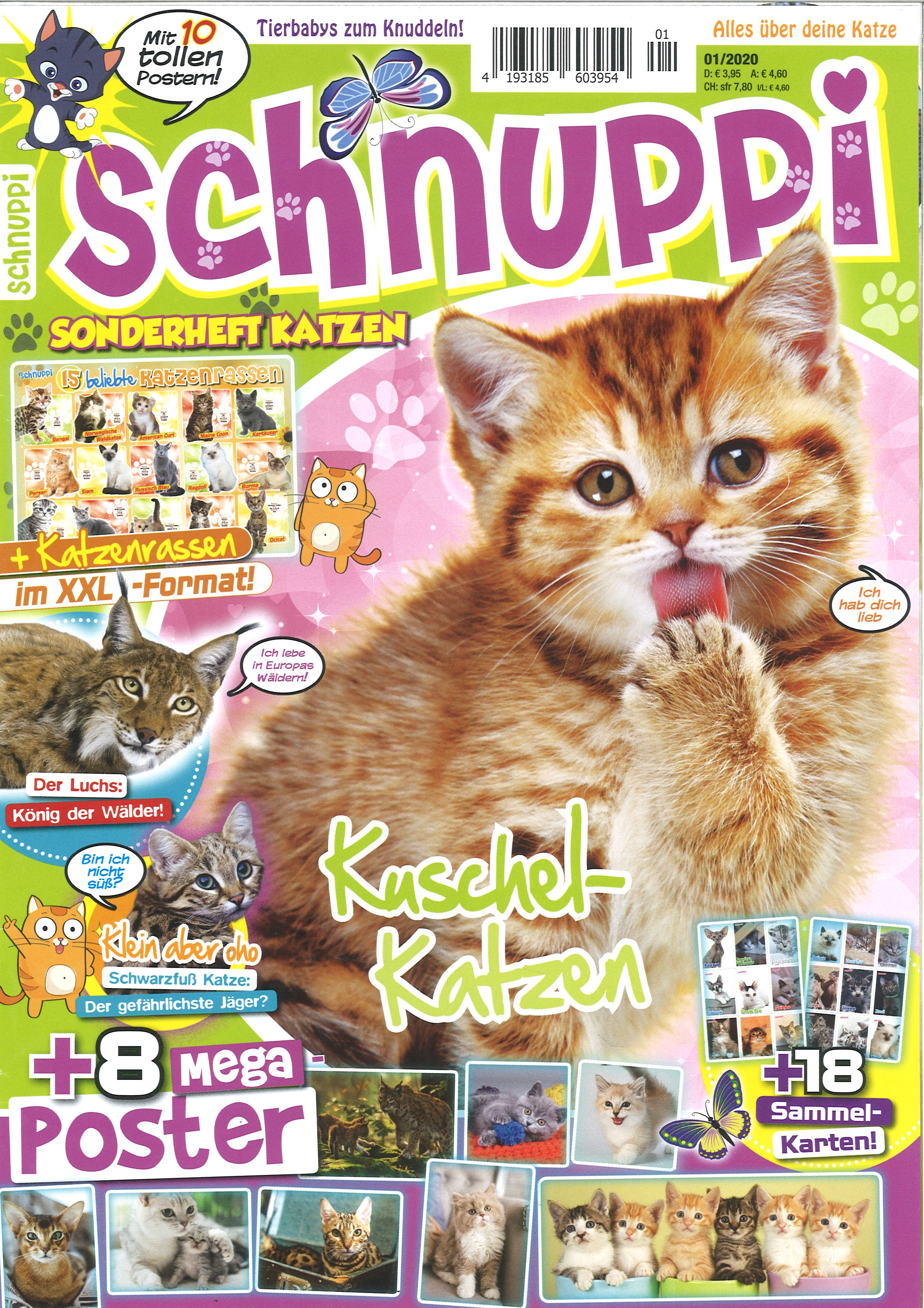 Schnuppi SH Katzen